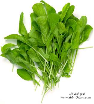 فوائد الجرجير للمتزوجين مفاجأه مذهله