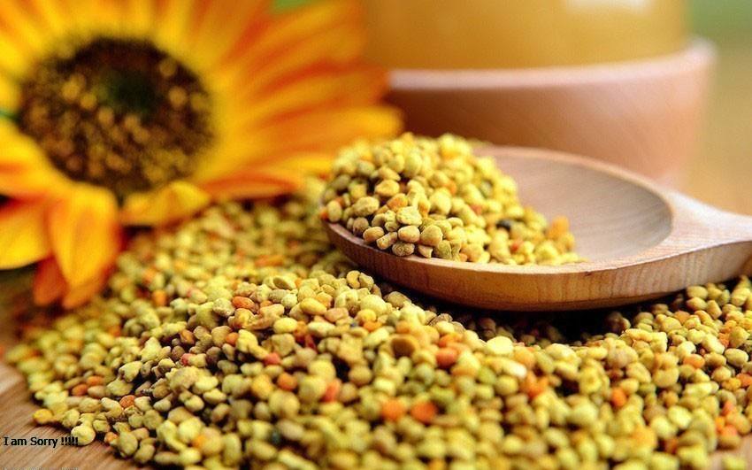 غبار الطلع حبوب اللقاح