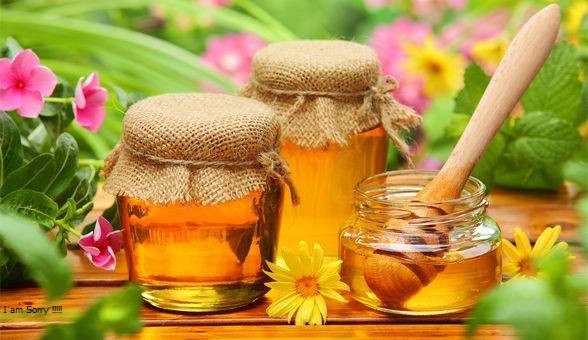 أسرار العسل حقائق مذهلة وفريدة الكثير منا لايعلمها