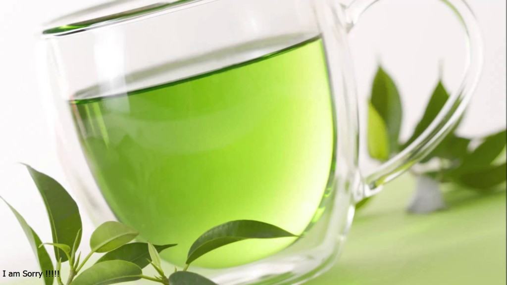 فوائد الشاي الأخضر   اكبر شيخ روحاني اصدق شيخ 