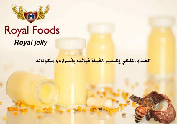 الغذاء الملكي إكسير الحياة فوائده وأسراره و مكوناته