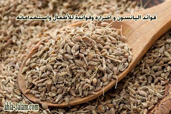 فوائد اليانسون و اضراره وفوائدة للأطفال واستخداماته