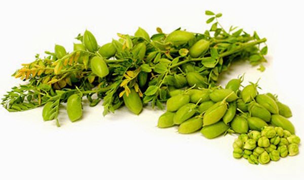 فوائد الحمص الأخضر