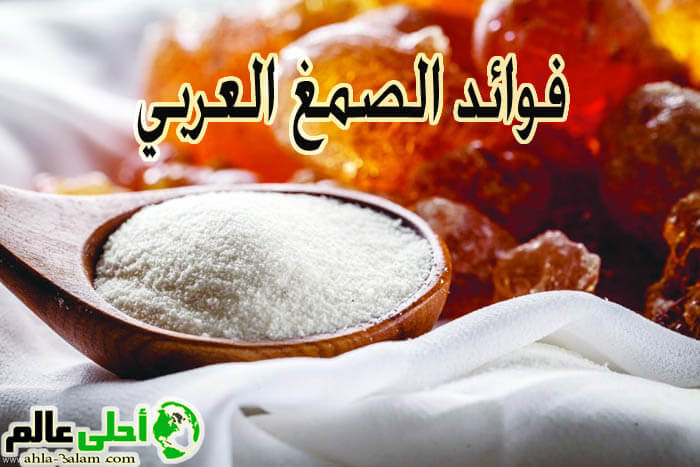 الصمغ العربي وفوائده