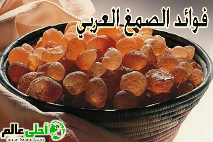 فوائد الصمغ العربي واستخداماته في العلاج والتجميل والصناعة المختلفة مقال شامل
