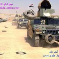 الجيش العراقي يستعد لاقتحام الفلوجة