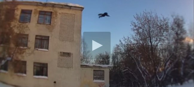 فيديو جنوني هبوط حر من ارتفاع 3 طوابق بدون اي حماية