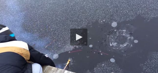 فيديو طفل يصطاد الأسماك بالألعاب النارية وملايين المشاهدات في يوم