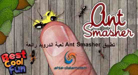 تطبيق Ant Smasher لعبة اندرويد اقتل جميع النمل
