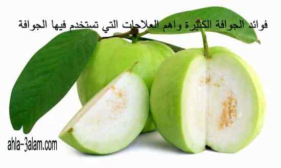 الجوافة,فوائد الجوافة,مهاي الجوافة,جوافة, عصير الجوافة,علاجات الجوافة