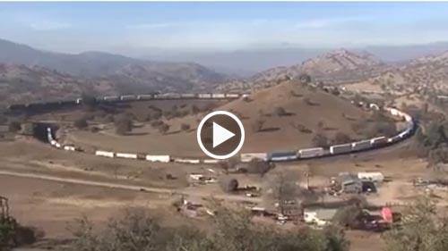 فيديو أطول قطار في العالم