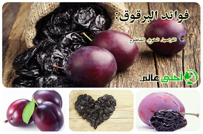 البرقوق, البرقوق المجفف, فوائد البرقوق, فوائد البرقوق المجفف, فوائد الخوخ, أحلى عالم,القراصيا, الخوخ, الشاهلوج