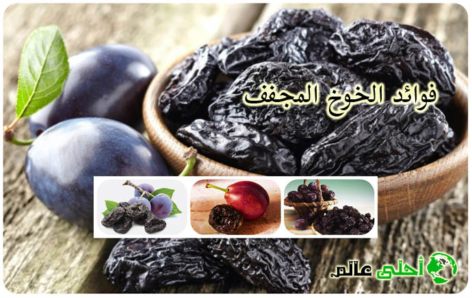 فوائد الخوخ المجفف, فوائد الخوخ،فوائد الخوخ المجفف،الخوخ, احلى عالم, فوائد البرقوق, فوائد الخوخ المجفف