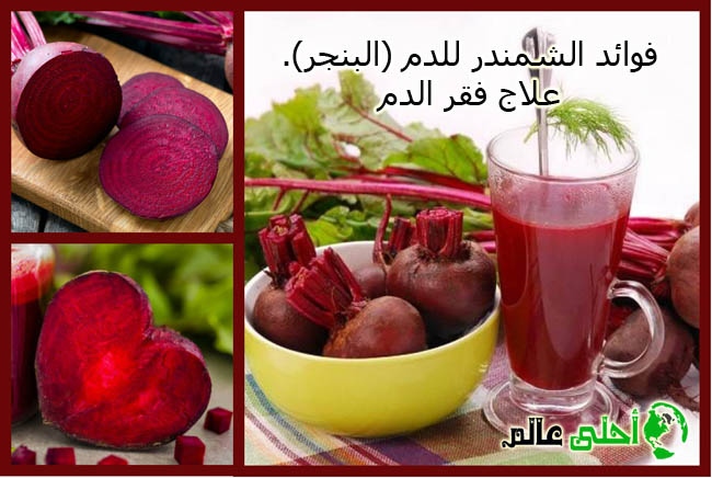 فوائد الشمندر للدم ,البنجر ,علاج حالات فقر الدم , الشوندر, الشمندر, فوائد الشوندر, فوائد البنجر, البنجر لفقر الدم, الشمندر لفقر الدم, علاج فقر الدم , احلى عالم, أحلى عالم